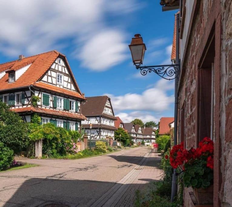 Au Petit Nid De Seebach Экстерьер фото